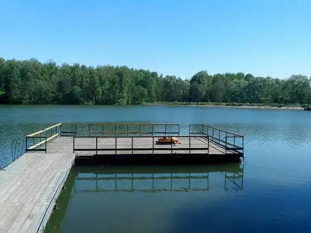 Аша: Берёзки