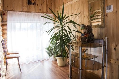 Миасс: Gostevoy Domik