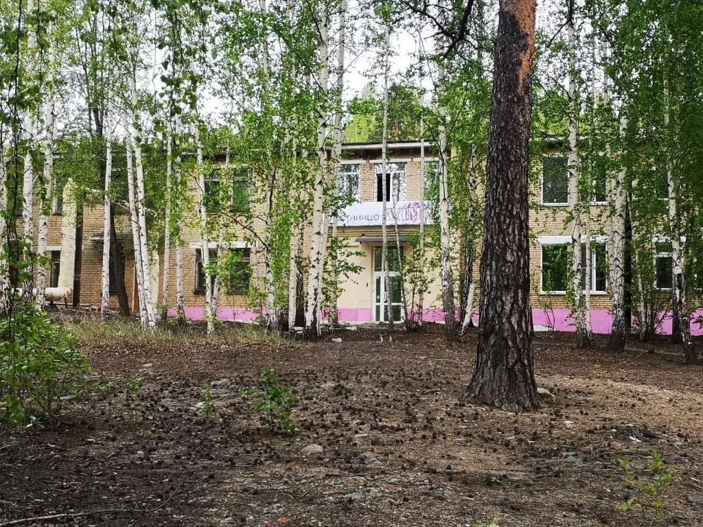 Карабаш: Отель Алмаз
