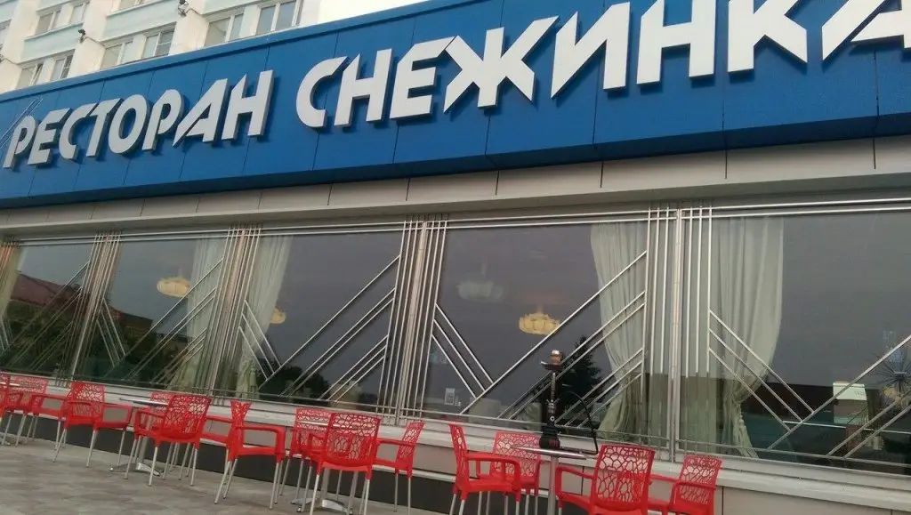 Снежинск: Снежинка