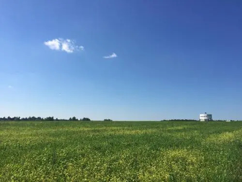 Звизжи: Farm-Camping Nikola-Lenivets