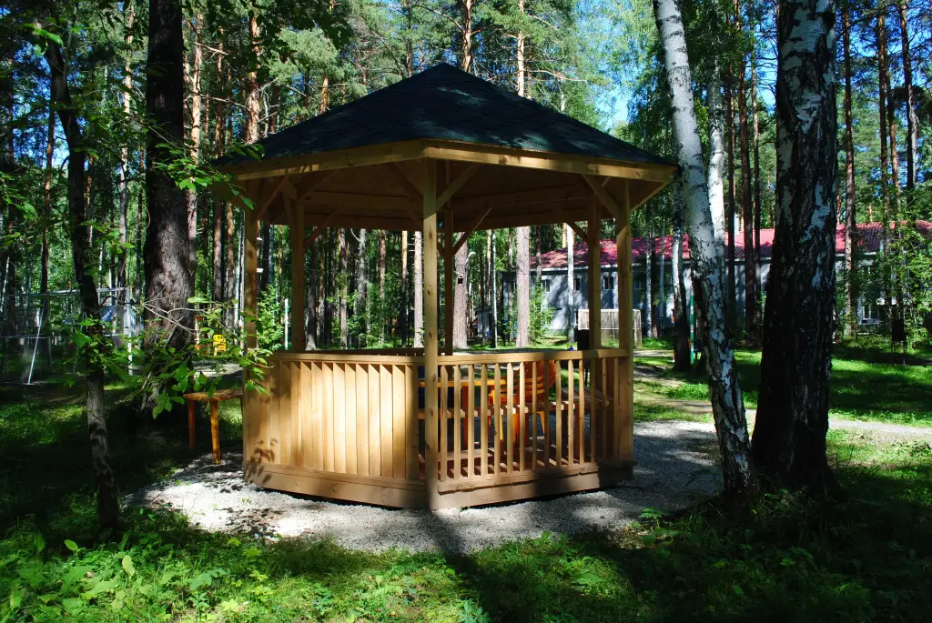 Половинный: База Отдыха Шишки