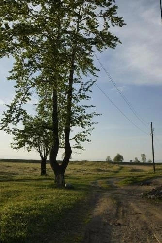 Утулик: Надежда