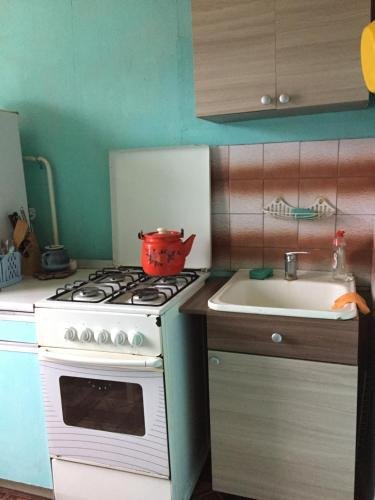 Железногорск: Homestay Gagarina 17
