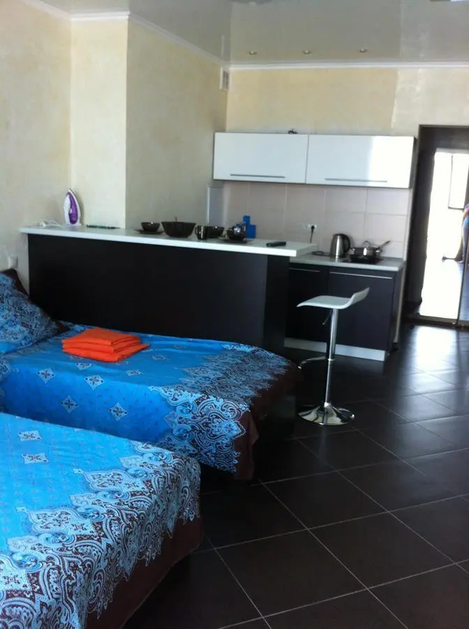 Сочи: Na Voykova Apartments