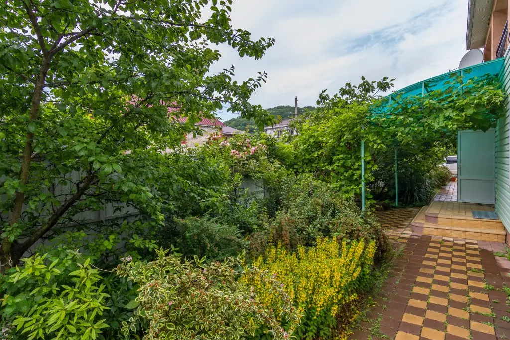 Пляхо: Гостевой дом Green House