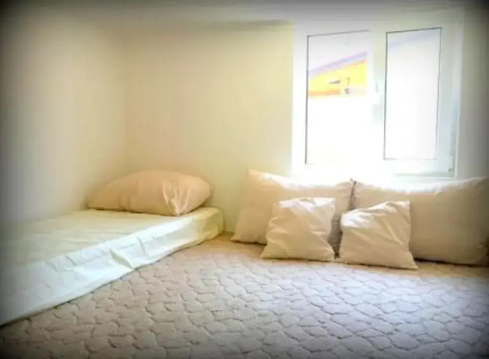 Пляхо: Guest house Na Lesnoy
