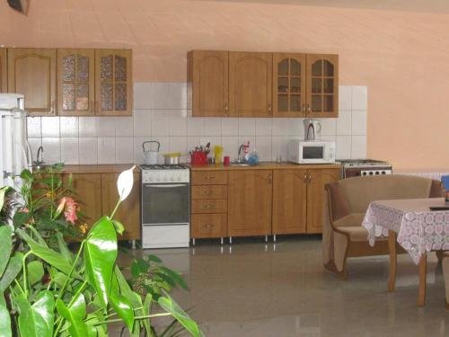 Дедеркой: Guest House Olesya