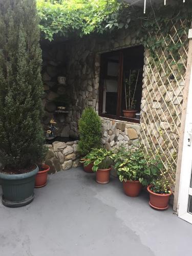Туапсе: Inn Svetlana