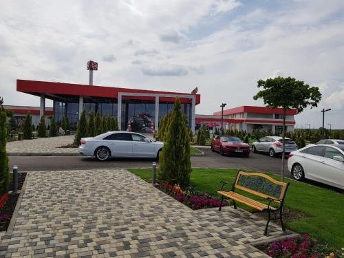 Павловская: Oazis Hotel