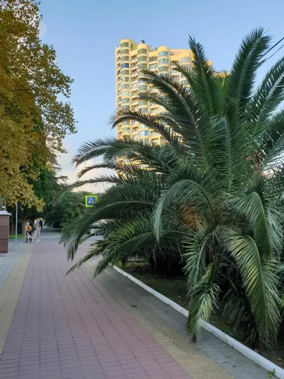 Сочи: Apartment Pushkin Travel
