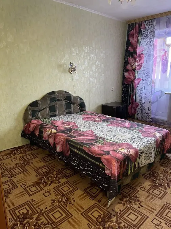 Петропавловск-Камчатский: Уютный дом на Молчанова