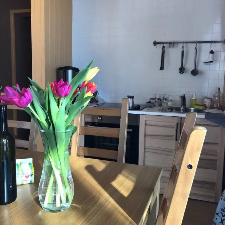 Самара: Holiday home Shvedskie Dachi
