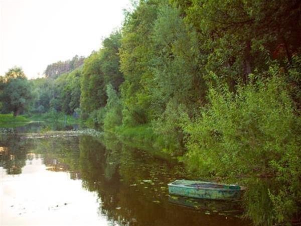 Мастрюково: Samaras Cottages Mastryuki Finsky 43