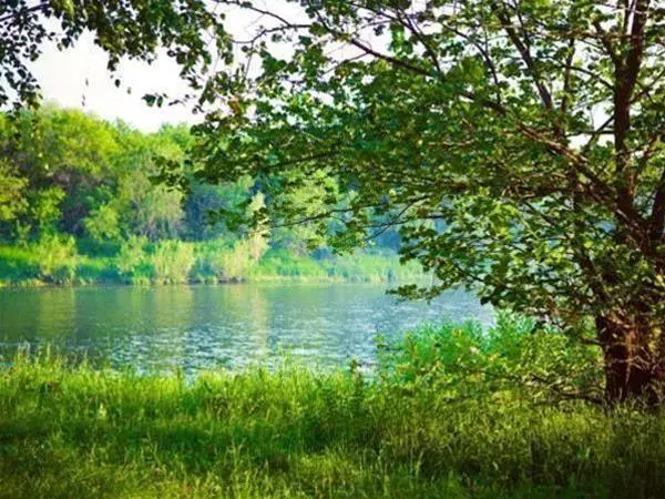Мастрюково: Samaras Cottages Mastryuki Finsky 43