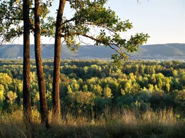 Мастрюково: Samaras Cottages Mastryuki Finsky 43