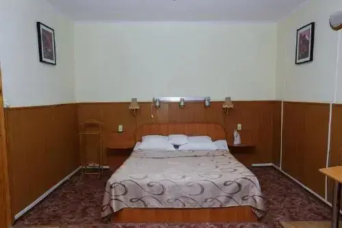 Сасово: Пегас