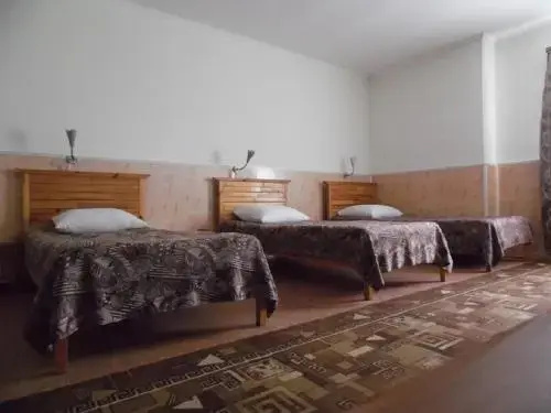 Сасово: ПеГАС