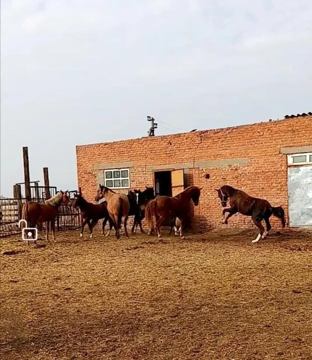 Черный Яр: Станица Черноярская