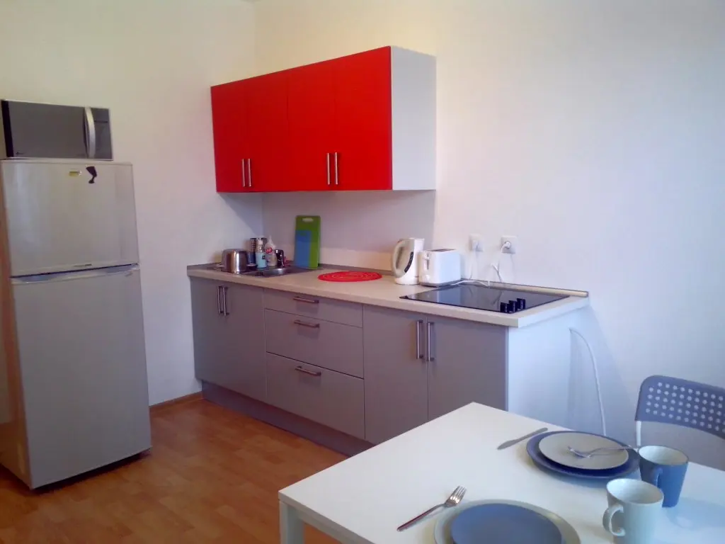 Екатеринбург: Меблированные комнаты Nice Days