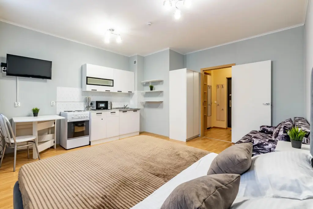 Екатеринбург: Апартаменты DreamHouse на Парниковой 6