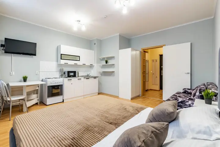 Екатеринбург: Апартаменты DreamHouse на Парниковой 6