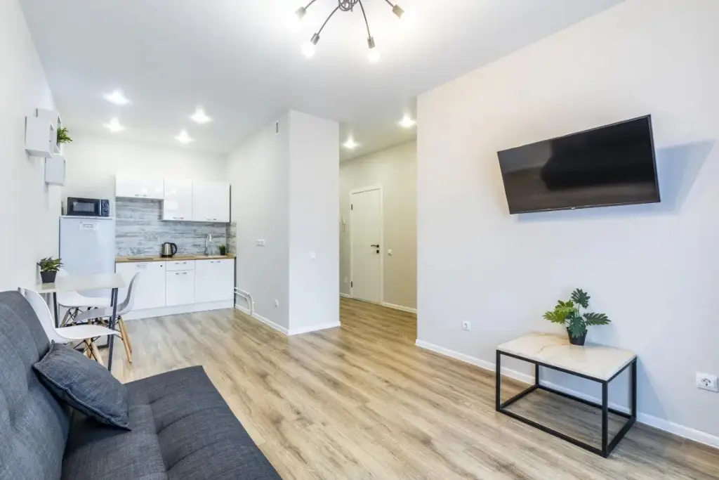 Екатеринбург: Апартаменты DreamHouse ЖК Vectori