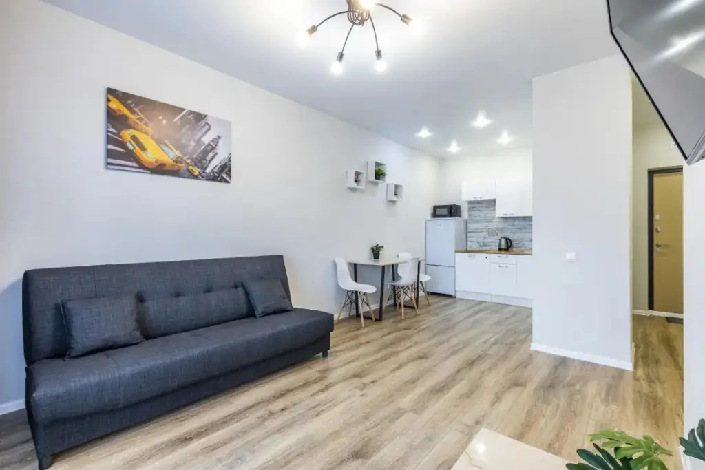 Екатеринбург: Апартаменты DreamHouse ЖК Vectori