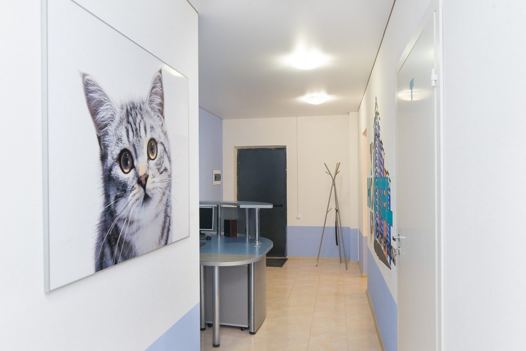Екатеринбург: Top Hostel