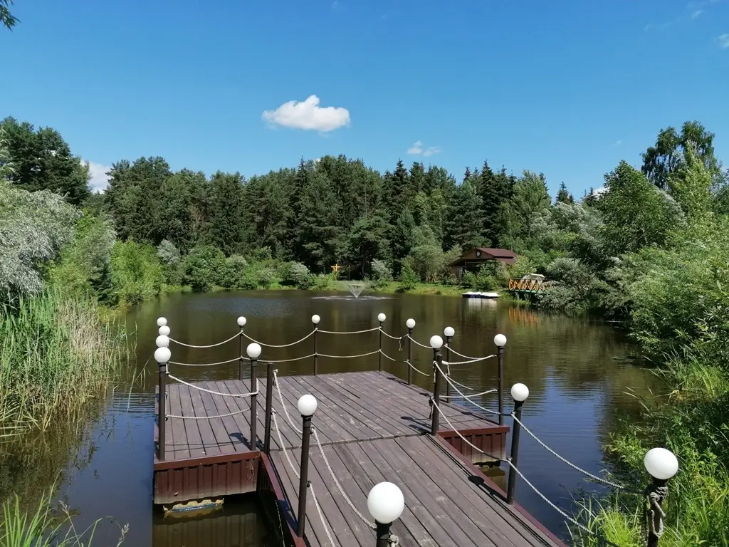 Брянск: Razdolie Hotel