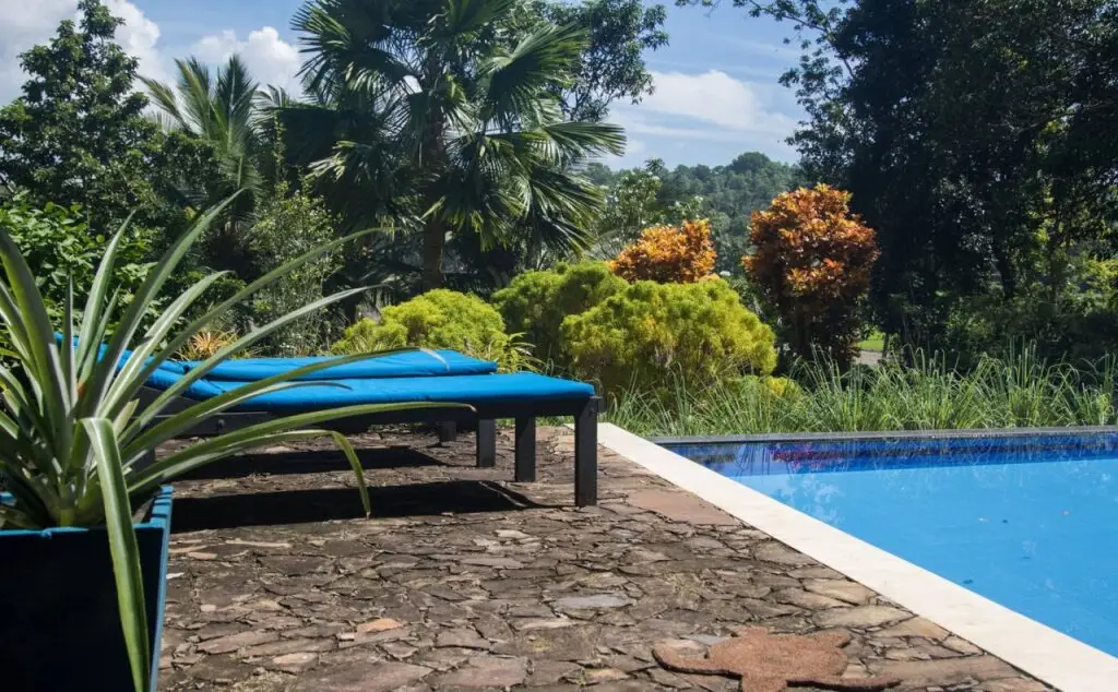 Lazy Lizard Villa — фото 1
