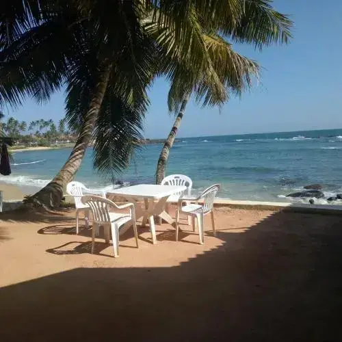 Диквелла: Coconut Palm Guesthouse