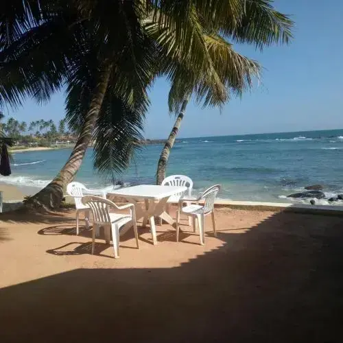Диквелла: Coconut Palm Guesthouse