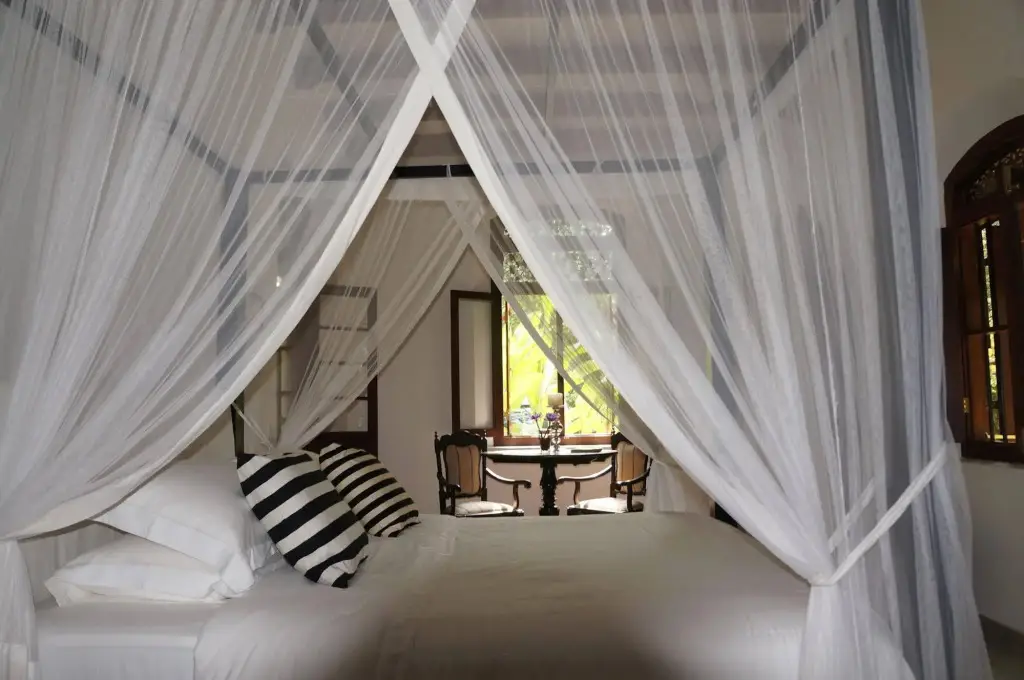 Додандува: MO River House
