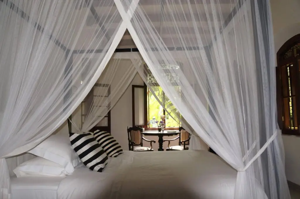 Додандува: MO River House