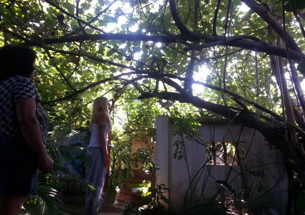 Таларамба: Minara Guest House