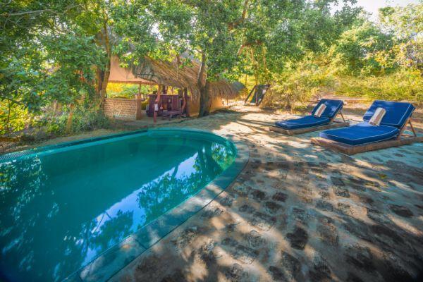 Катарагама: Leopard Safaris By KK Collection Yala
