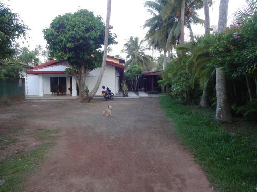 Nadeeka Villa — фото 1