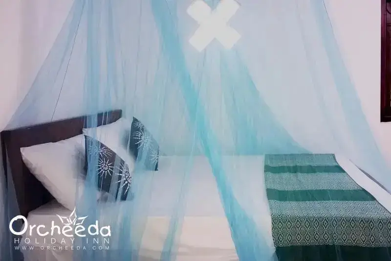 Велигама: Orcheeda Holiday Inn