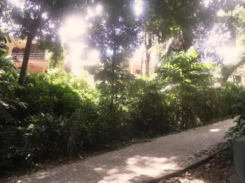 Forest View Homestay — фото 1