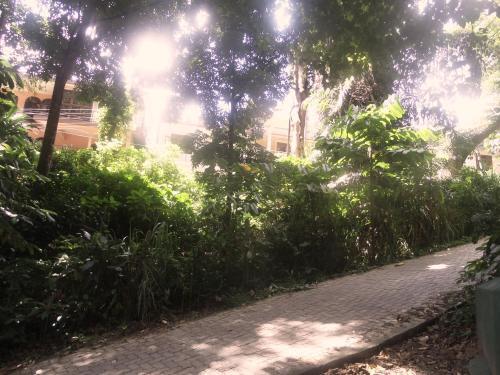 Forest View Homestay — фото 1