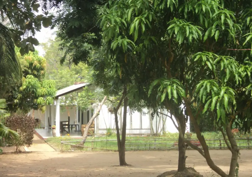 Дамбулла: Indigollawa Park