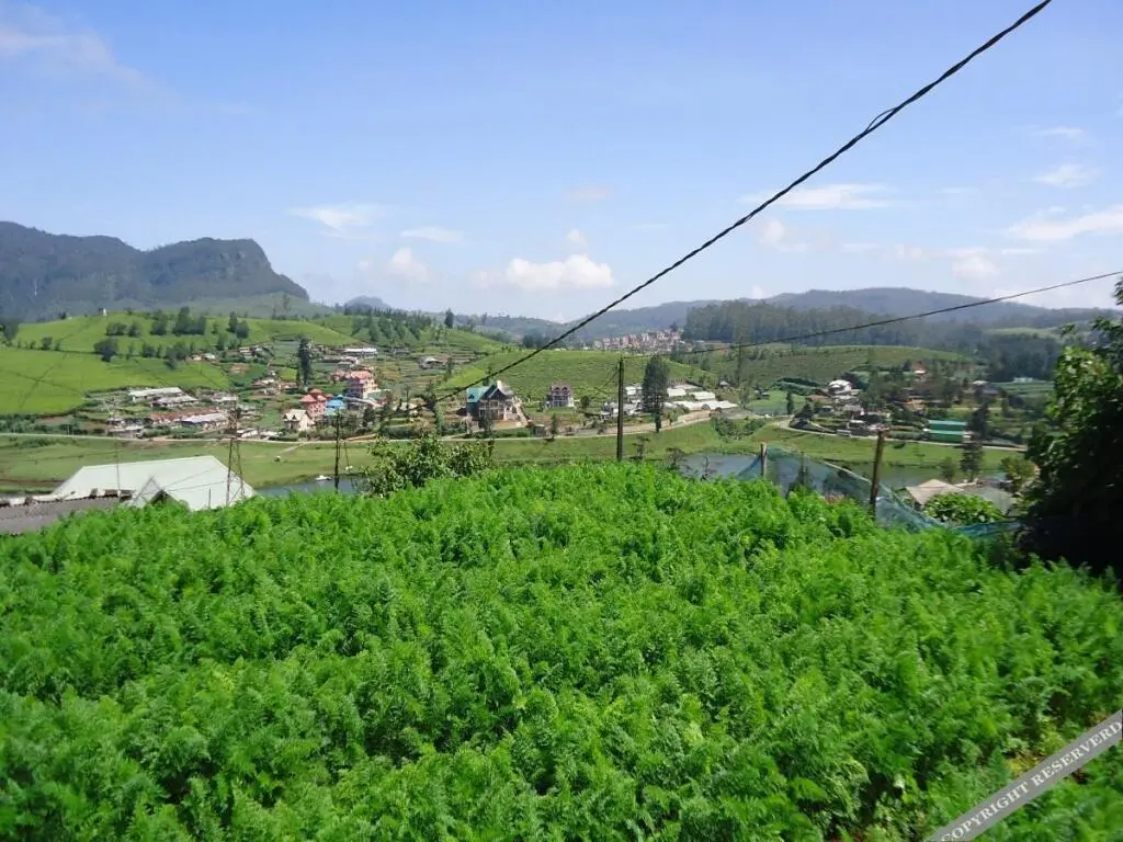 Нувара-Элия: Lake View Holiday Home