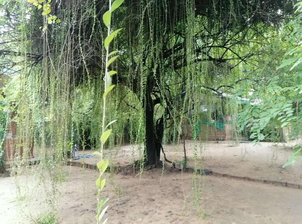 Хингуракгода: Clay Hut Village