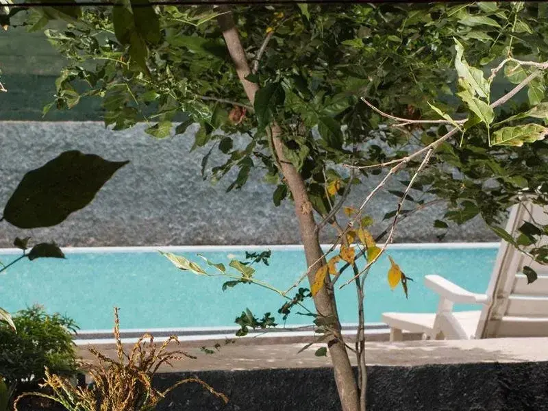 Сигирия: Sigiriya Peacock Homestay