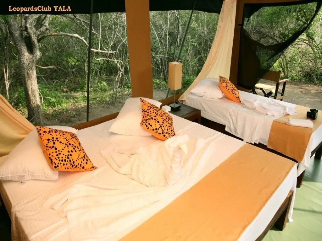 Киринда: LeopardsClub YALA