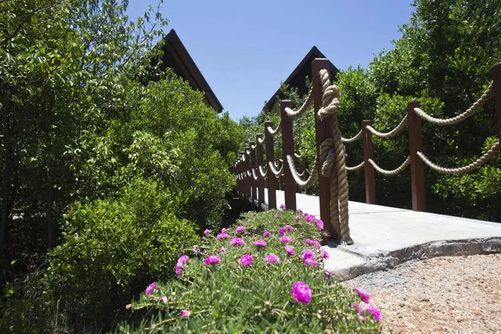 Кандакули: Ruwala Resort