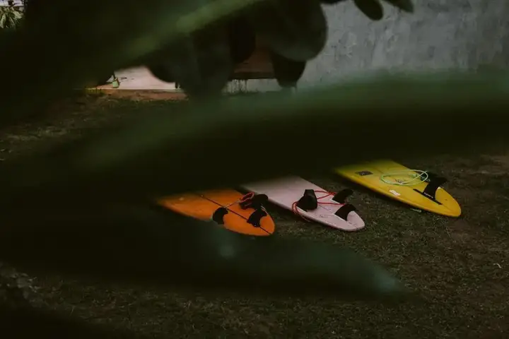 Аругам-Бэй: Stay Golden