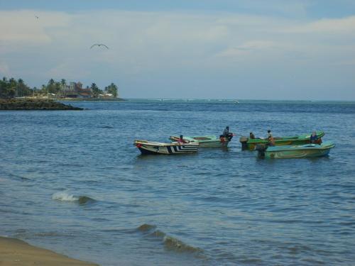 Негомбо: The Pearl Negombo Sri Lanka