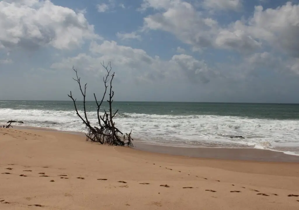 Мараколлия: Serein Beach Hotel